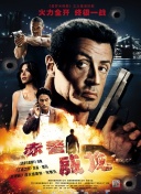 奇迹大陆：排行榜娱乐玩法与攻略分享